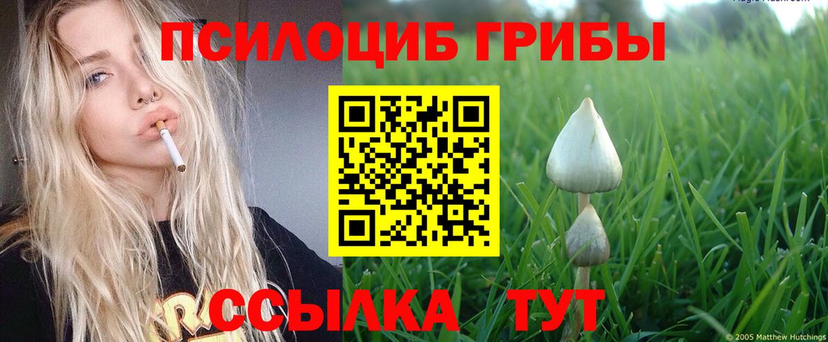 Галлюциногенные грибы ЛСД Сибай